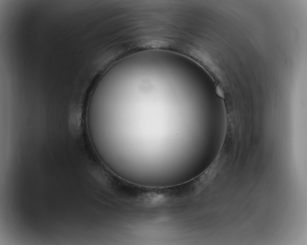 X0000089440159200706151420