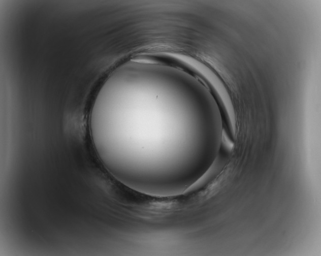 X0000089440160200706151420