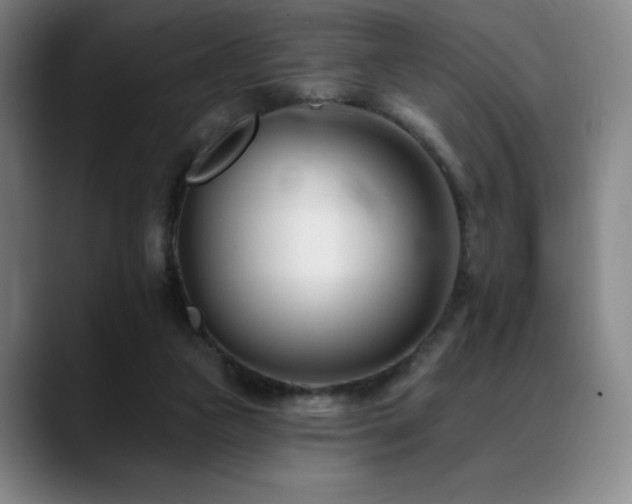 X0000089440161200706151420