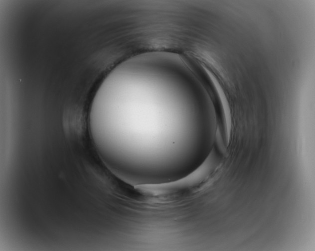 X0000089440164200706151420