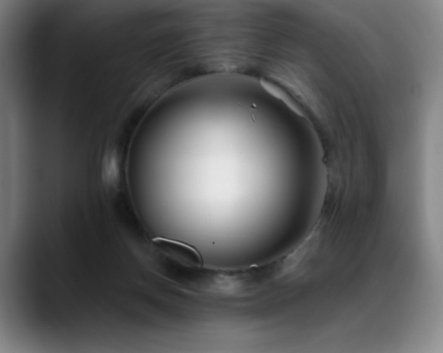 X0000089440166200706151420