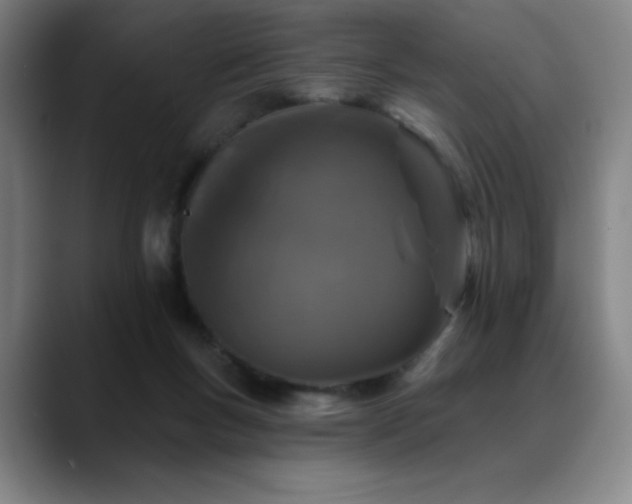 X0000089440167200706151420