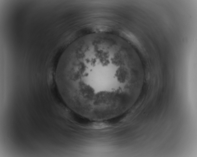 X0000089440169200706151420