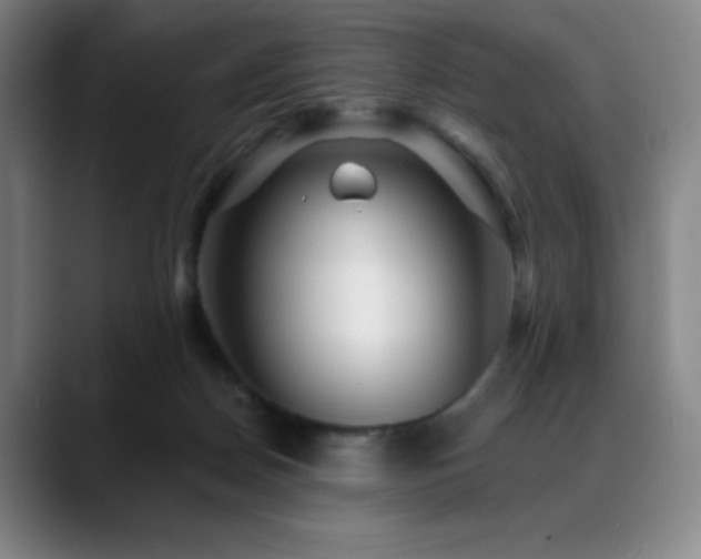 X0000089440170200706151420