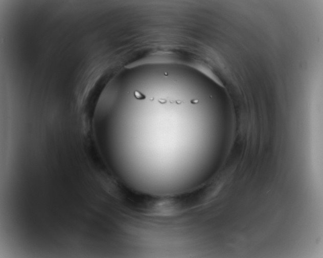 X0000089440173200706151420