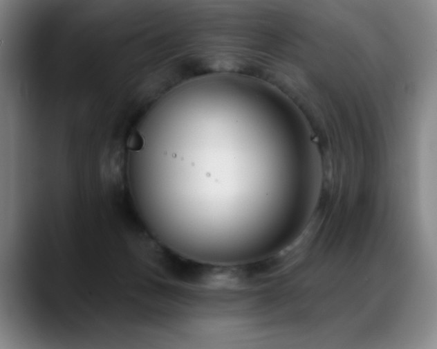 X0000089440175200706151420
