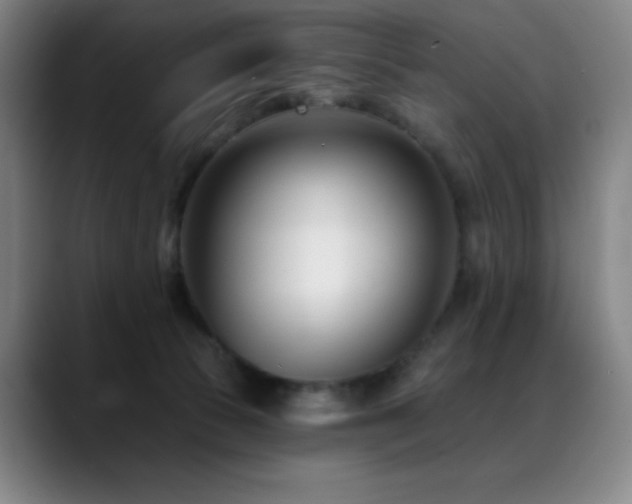 X0000089440177200706151420