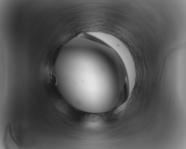 X0000089440180200706151420