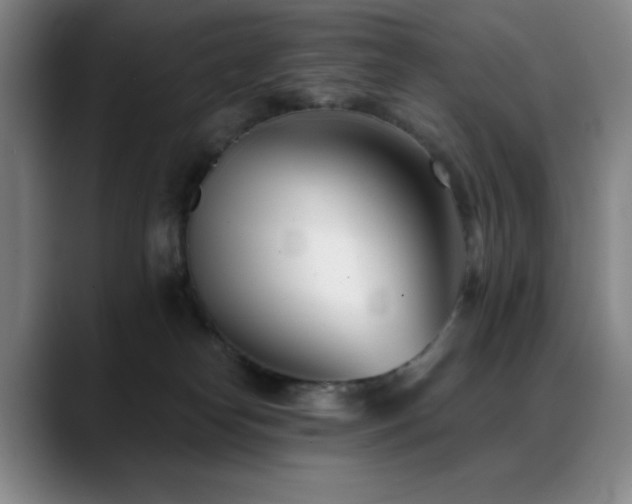 X0000089440182200706151420