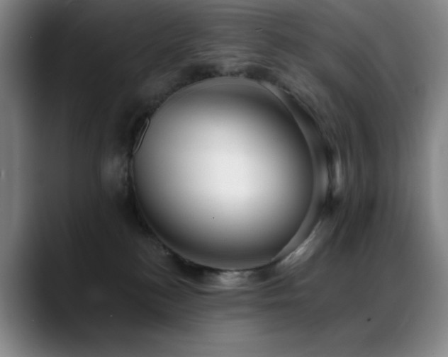 X0000089440184200706151420