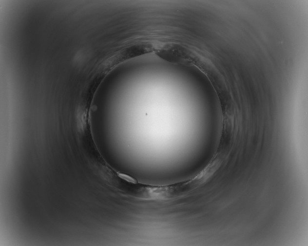 X0000089440188200706151420