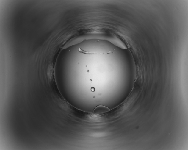X0000089440189200706151420
