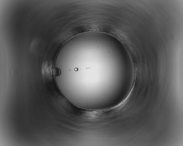 X0000089440190200706151420