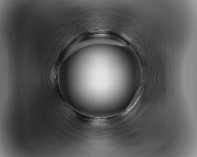 X0000089440192200706151420