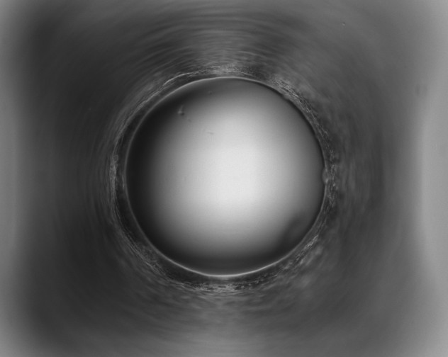 X0000089440194200706151420