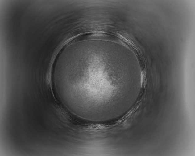 X0000089440195200706151420