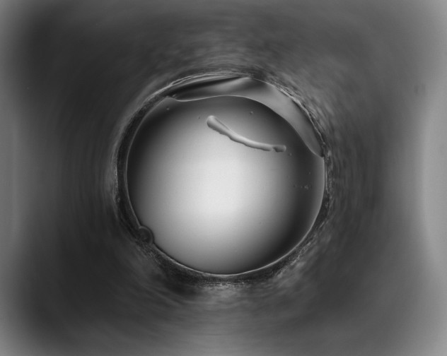 X0000089440198200706151420