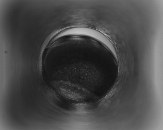 X0000089440200200706151420