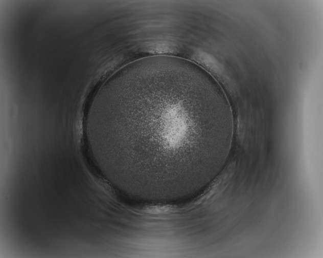 X0000089440202200706151420