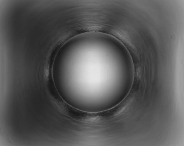 X0000089440206200706151419