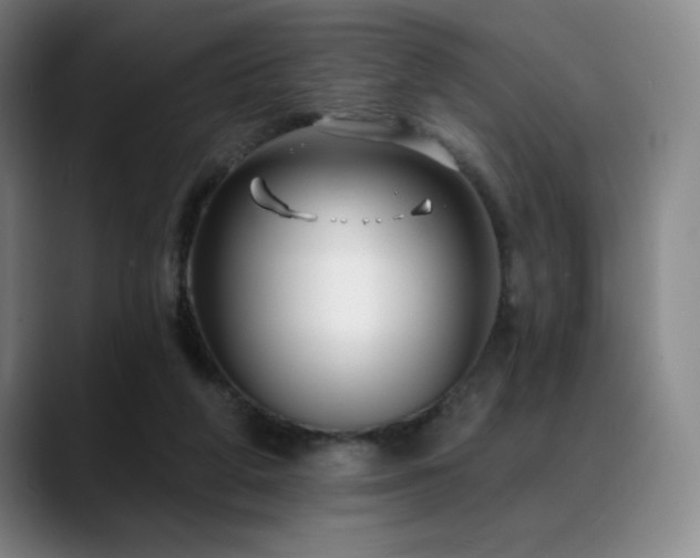 X0000089440210200706151419