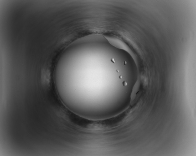 X0000089440211200706151419