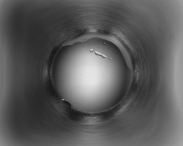 X0000089440213200706151419