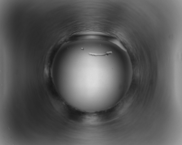 X0000089440214200706151419