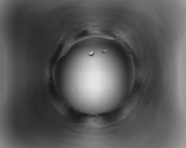 X0000089440215200706151419