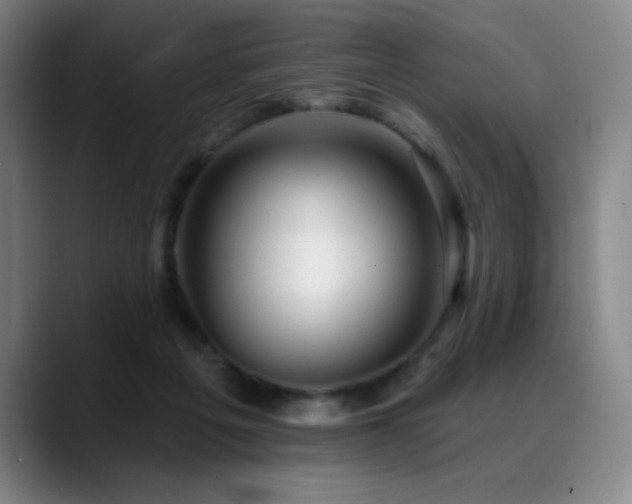 X0000089440217200706151419