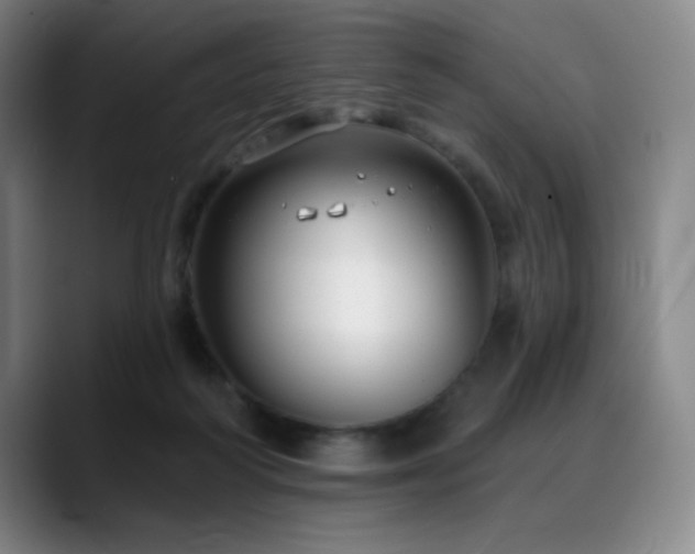 X0000089440218200706151419