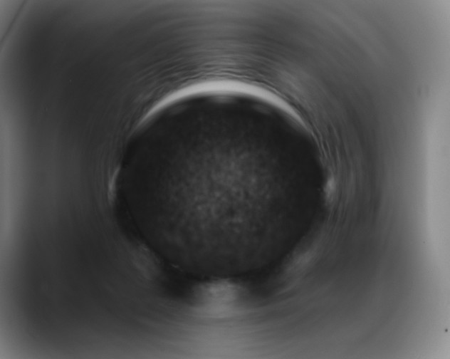 X0000089440219200706151419