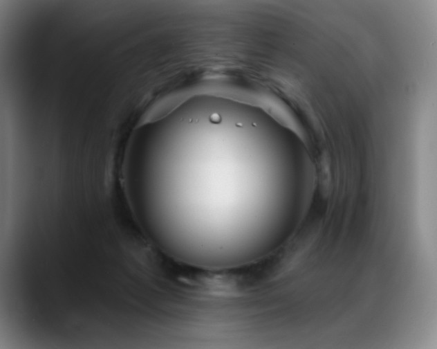 X0000089440221200706151419