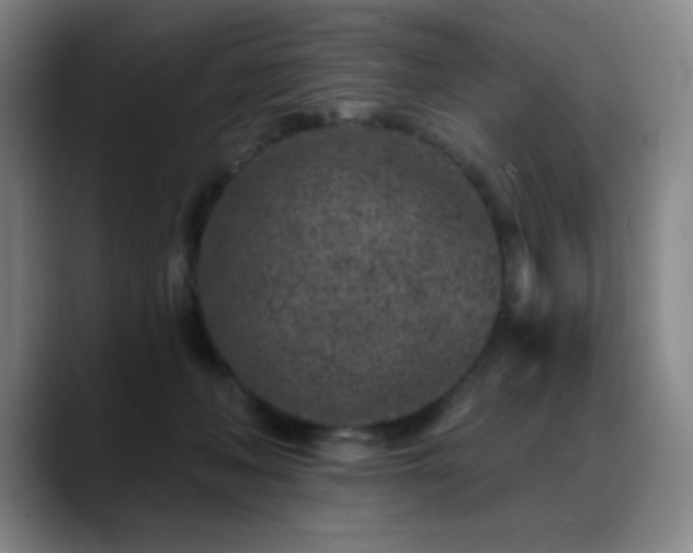 X0000089440222200706151419