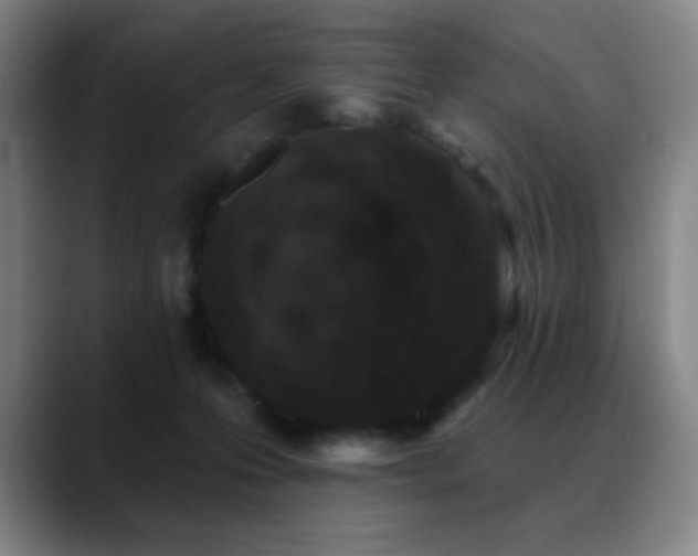 X0000089440223200706151419