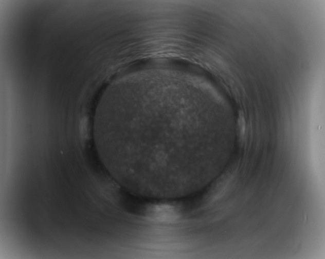 X0000089440224200706151419