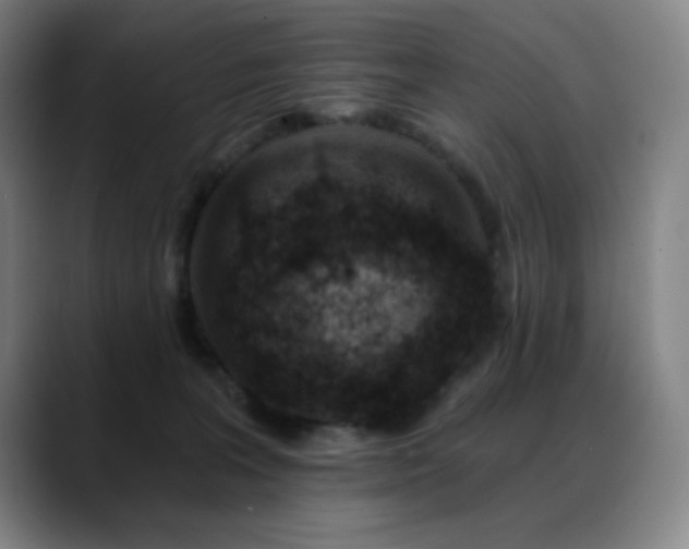 X0000089440227200706151419