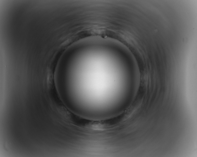 X0000089440228200706151419