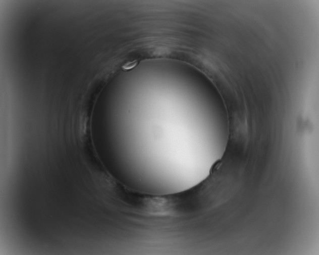 X0000089440230200706151419