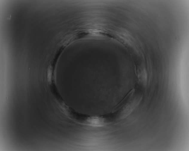 X0000089440231200706151419