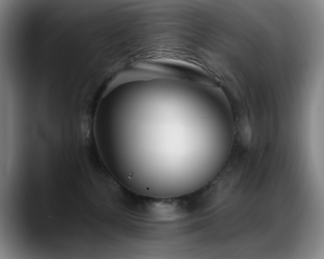 X0000089440232200706151419