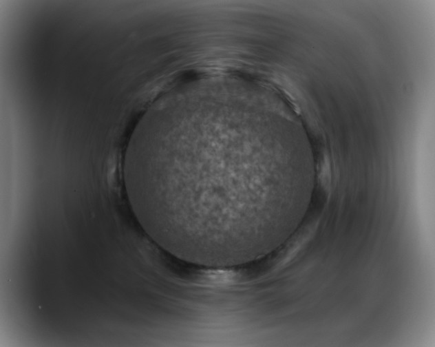 X0000089440233200706151419