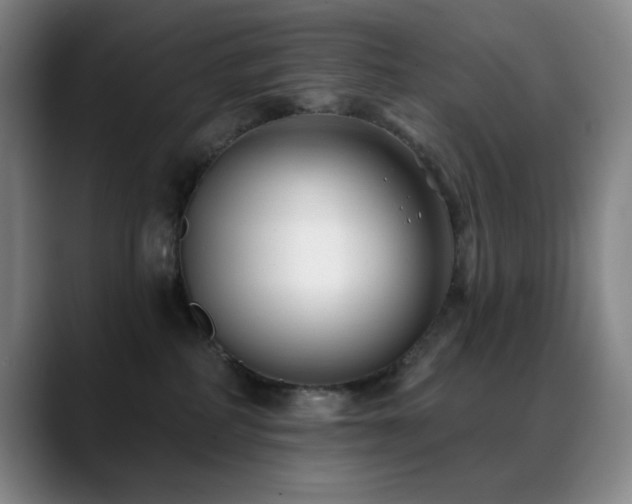 X0000089440234200706151419