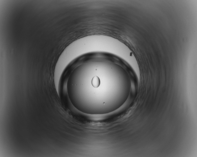 X0000089440237200706151419