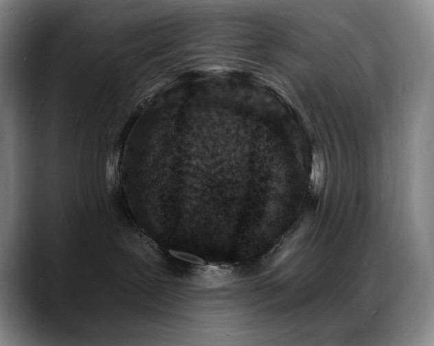 X0000089440239200706151419