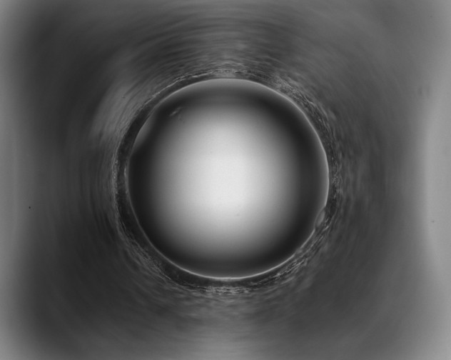 X0000089440242200706151419