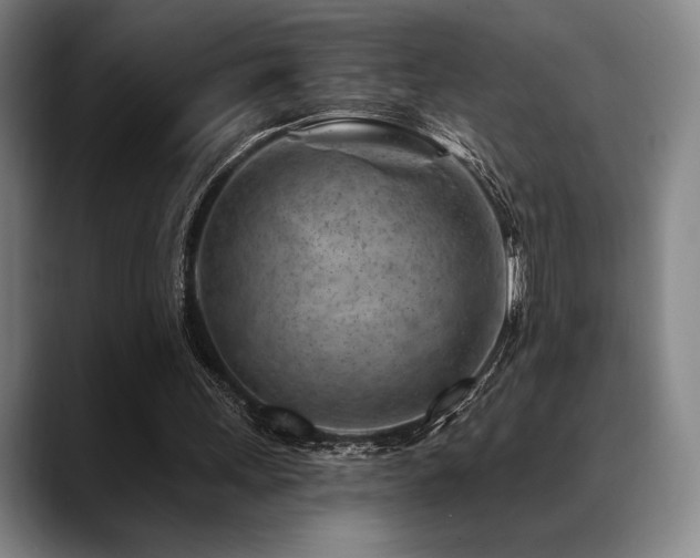 X0000089440243200706151419