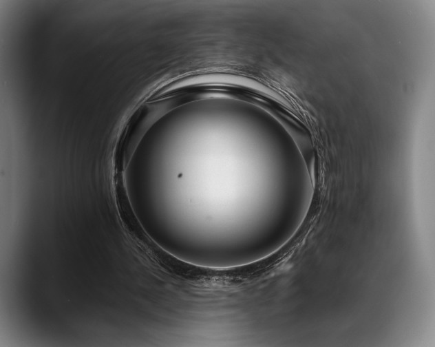 X0000089440244200706151419
