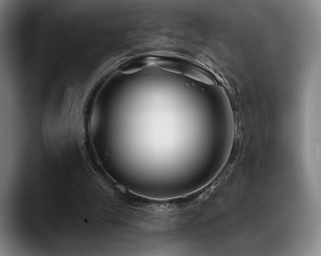 X0000089440245200706151419