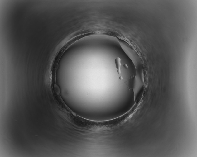 X0000089440246200706151419